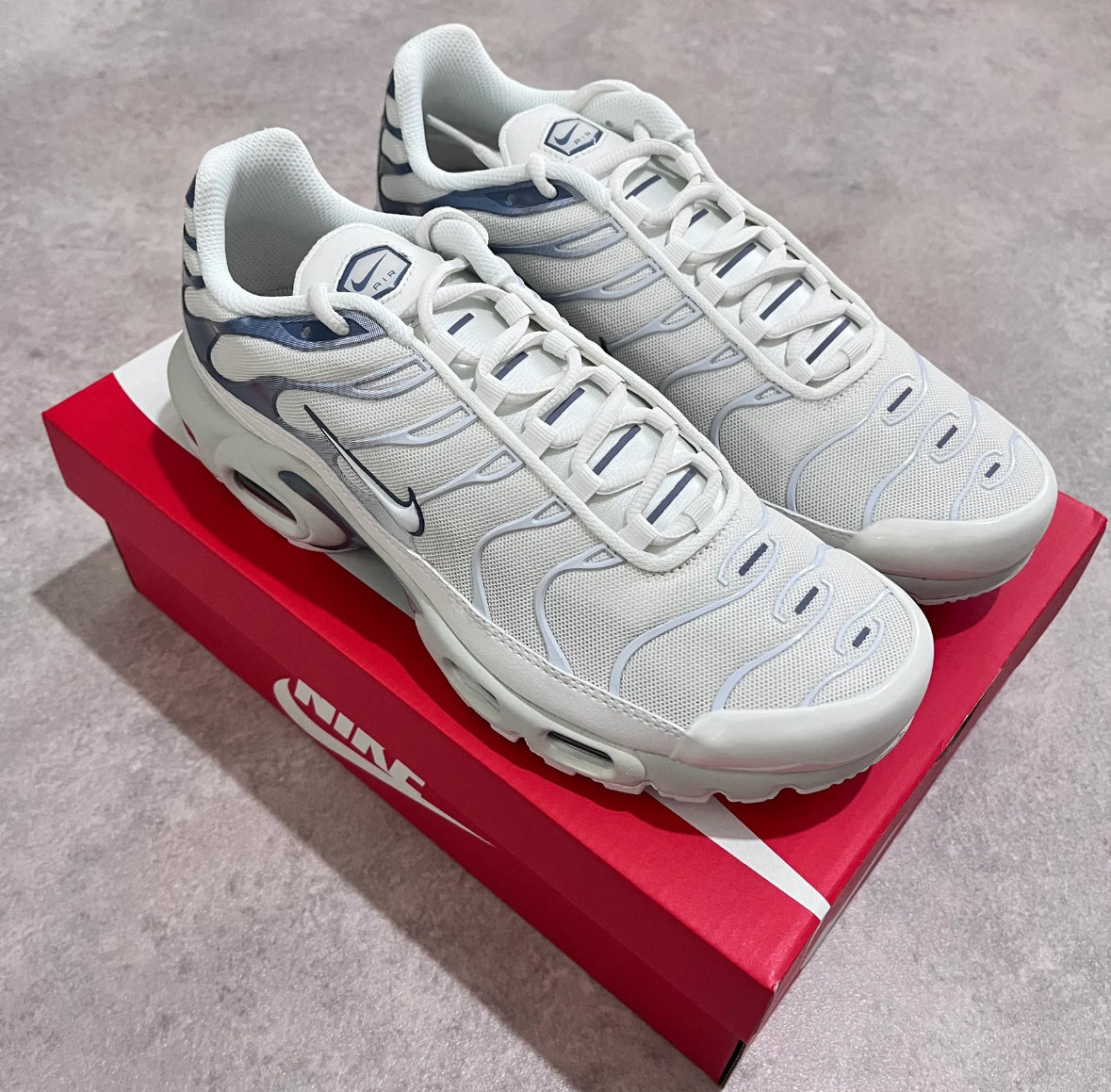 Nike air max plus Tn